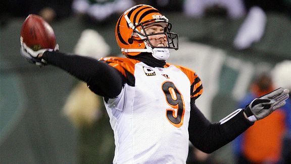 Carson Palmer