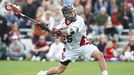 Harvard lacrosse