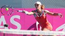 Fed Cup