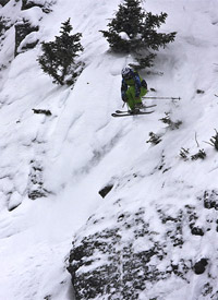 Travis Wolfe