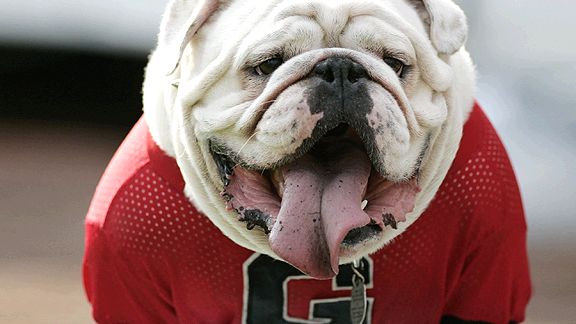 Georgia Bulldogs mascot Uga