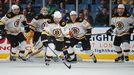 Bruins