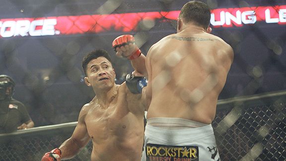 Cung Le