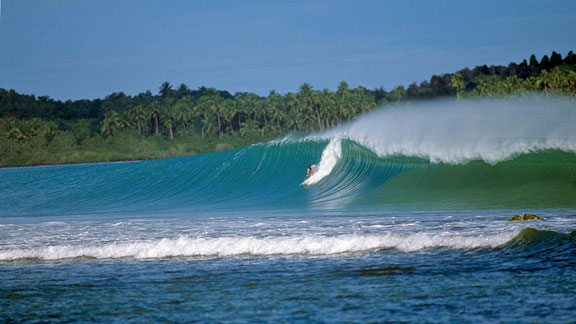 Download this Anders Frame Nias Earthquake Not Still Dang Fine Wave picture