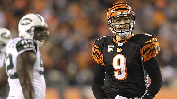 Carson Palmer