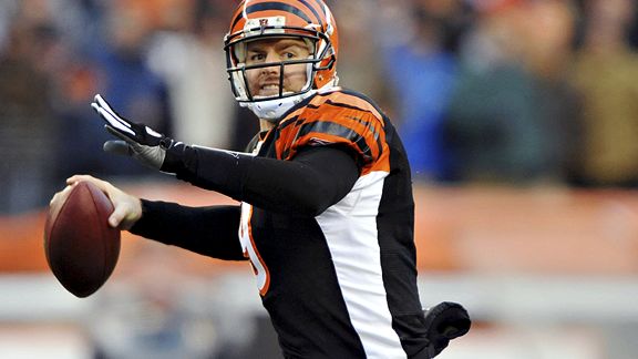 Carson Palmer