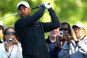 Tiger Woods