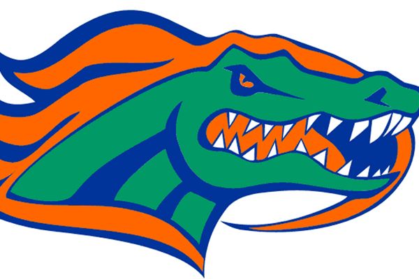 Cool Gators Logo