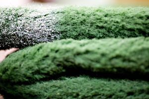 Turf
