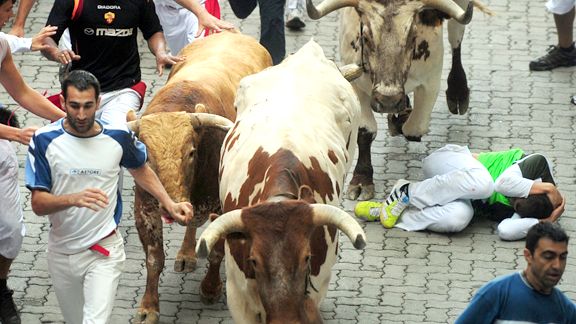 Bull Runner