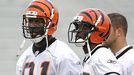 Terrell Owens/Chad Ochocinco