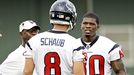 Andre Johnson and Matt Schaub