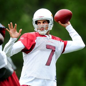 Matt Leinart