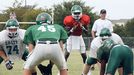 Arlington offense