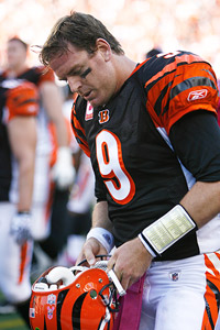 Carson Palmer