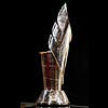 Capital One Cup