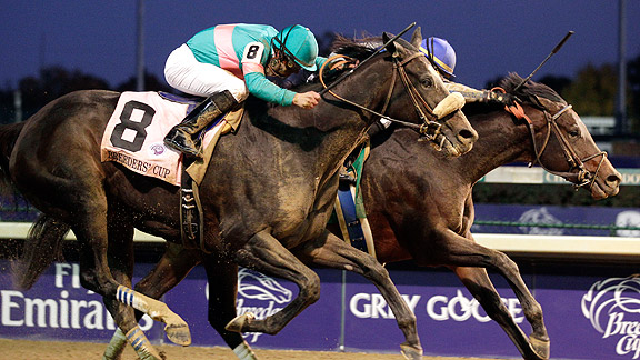 Zenyatta - Horse of the Year 2010 Zenyatta Blame Horse of the Year 2010