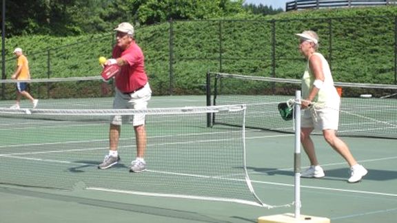  - pg2_pickleball1x_576