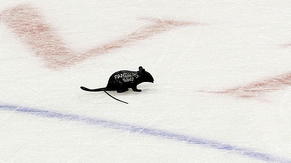 Florida Panthers rat