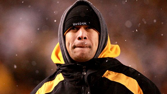 Troy Polamalu