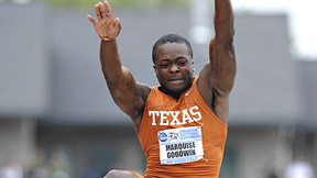 Goodwin