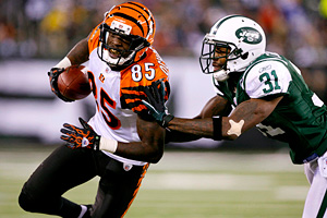 Chad Ochocinco 