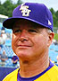 Mainieri