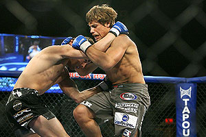 Faber/Dominick