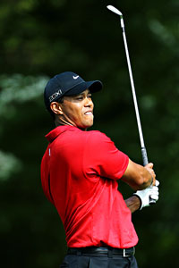 Woods