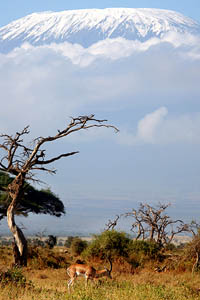 Mount Kilimanjaro