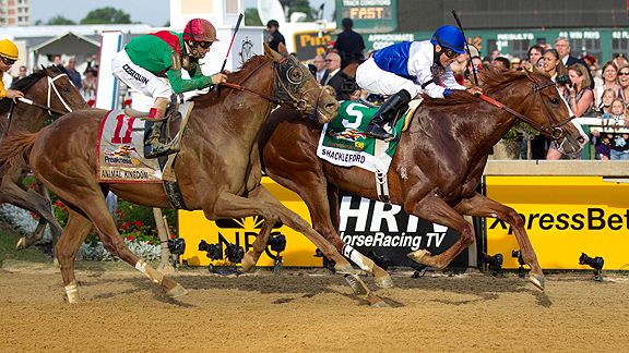 Shackleford