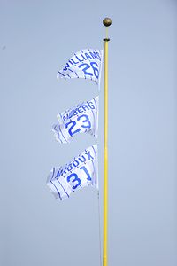 Wrigley flags