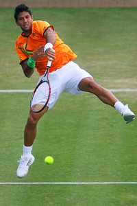 Fernando Verdasco