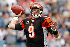 Carson Palmer