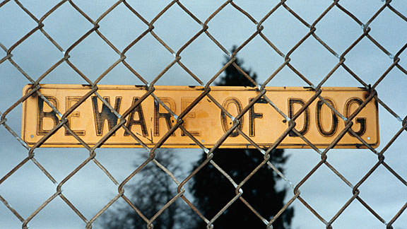 WALK IN THE PARK