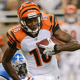 Cincinnati Bengals QB Jordan Palmer Doubts Ochocinco and TO Will Be Back in  2011 - Cincy Jungle