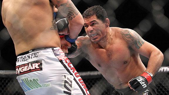 Minotauro Nogueira