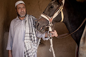 Haji Ghulam Rasool, Afghani buzkashi sponsor