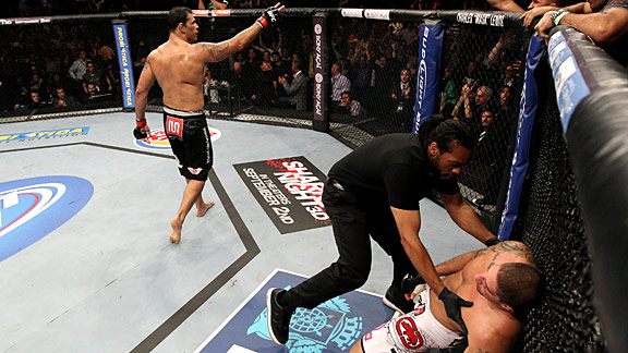 mma_g_nogueira_schaub_576.jpg