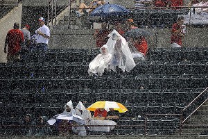 Rain