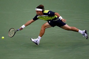 David Ferrer