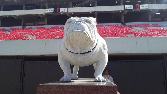 Georgia Bulldog