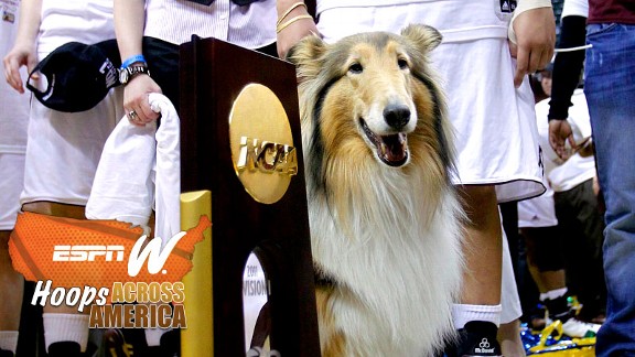 Mascot