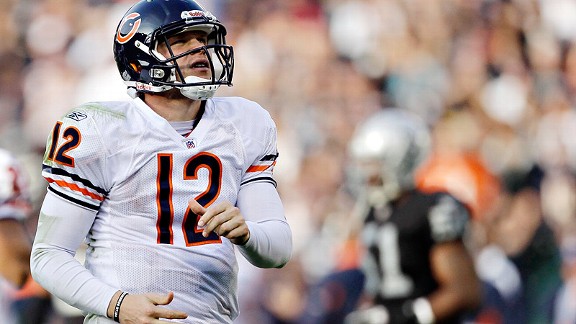 Bears
