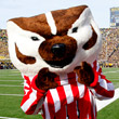Bucky