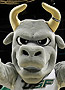 Bulls