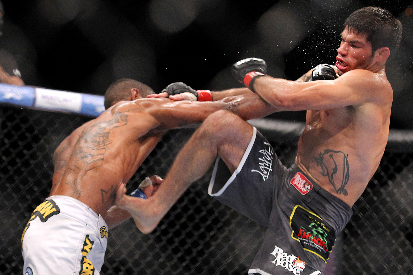 Best Mma Pictures 86