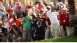 Watching Tiger