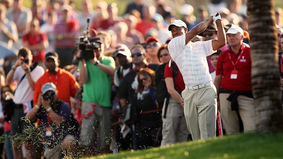 Eyes On The Tiger