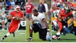 Wilson/Coples/Polk